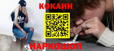 гашик Моздок