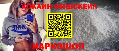 гашик Моздок