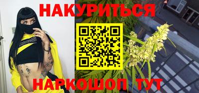 гашик Моздок