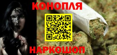 гашик Моздок