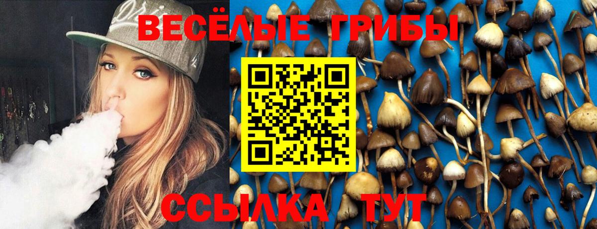 цена   Галлюциногенные грибы Psilocybe  Псилоцибиновые грибы Cubensis  Вход с VPN  Сосновый Бор 