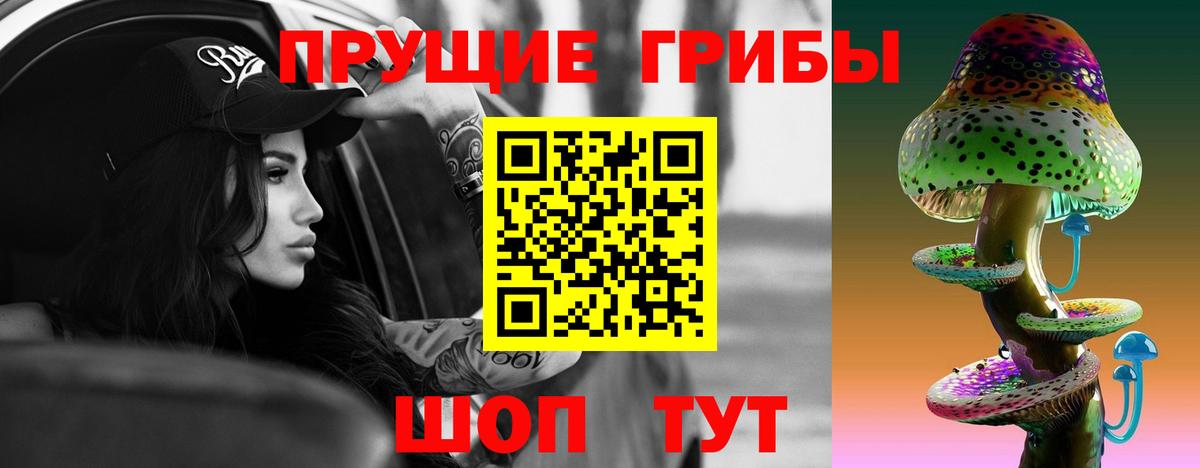 Псилоцибиновые грибы MAGIC MUSHROOMS Сосновый Бор