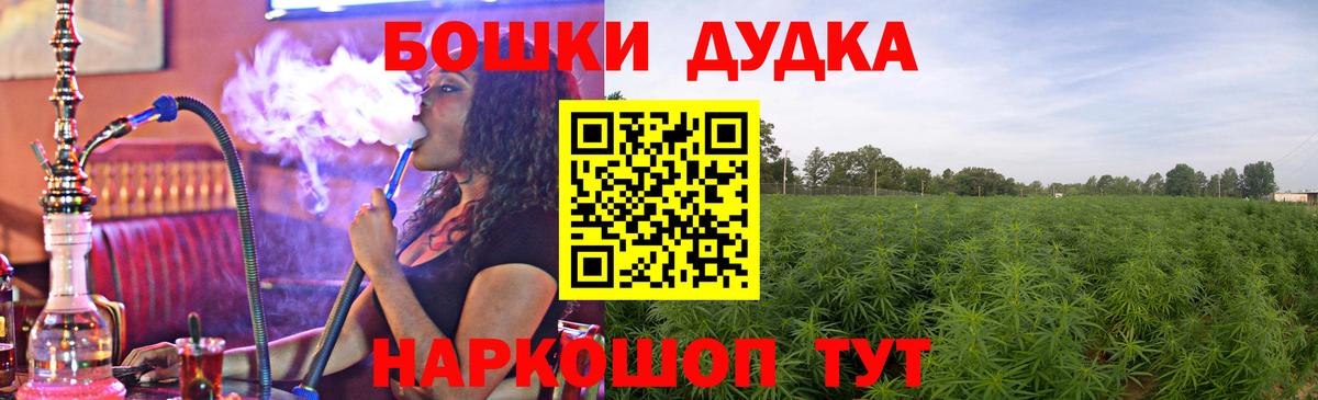 Бошки марихуана план  Конопля SATIVA & INDICA  Вход с VPN  Конопля LSD WEED  Сосновый Бор  Марихуана Amnesia 